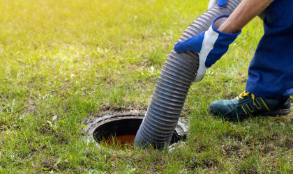 Quisque id maximus leo